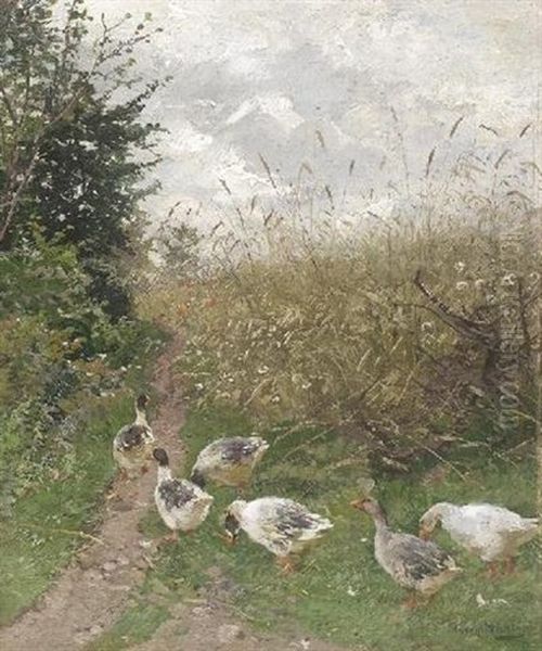 Enten Auf Einer Sommerlichen Wiese - view 1