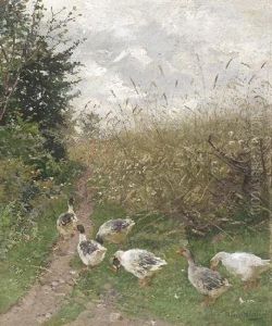 Enten Auf Einer Sommerlichen Wiese Enten Auf Einer Sommerlichen Wiese