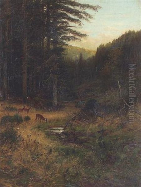 Rehe Am Waldbach - view 1