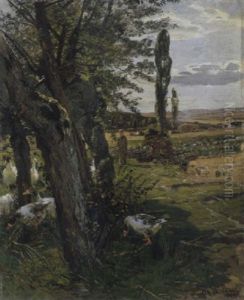 Landschaft In Oberhessen Landschaft In Oberhessen