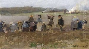 Kartoffelernte In Hessen - A Study
