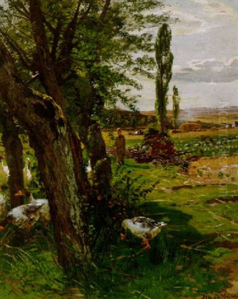 Hessische Landschaft - view 1