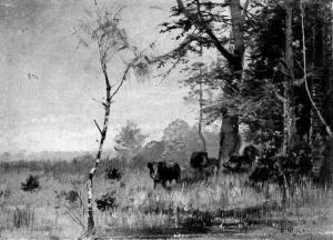 Wildschweine Am Waldrand by Hugo Muehlig