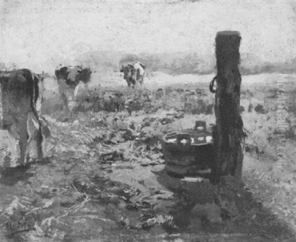 Kuhe Auf Der Weide Neben Einem Wasserbottich - view 1
