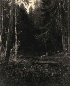 Ein Rehbock An Einem Weiher Im Wald