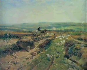 Begegnung Auf Dem Feld Begegnung Auf Dem Feld