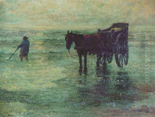 Digging Clams - view 1