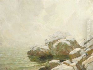 Coastal Rocks Coastal Rocks
