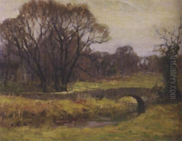 Landscape - view 1