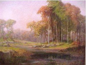 Landscape Landscape