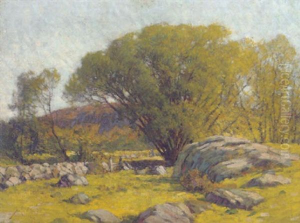 Cape Ann Pastureland - view 1