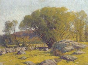 Cape Ann Pastureland