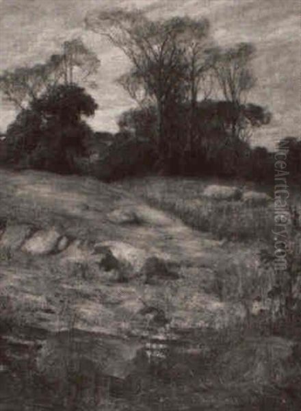 Landscape - view 1