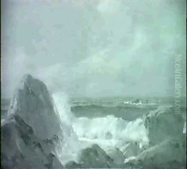 Rocky Coast - view 1
