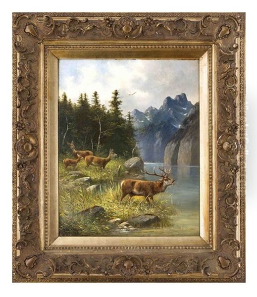Rotwild Am Gebirgssee - view 1
