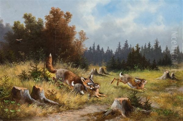 Fuchs Bei Der Hasenjagd Auf Einer Lichtung - view 1