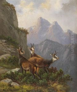 Chamois In The High Mountains by Moritz Mueller the Elder