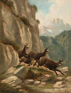 Chamois In The High Mountains by Moritz Mueller the Elder