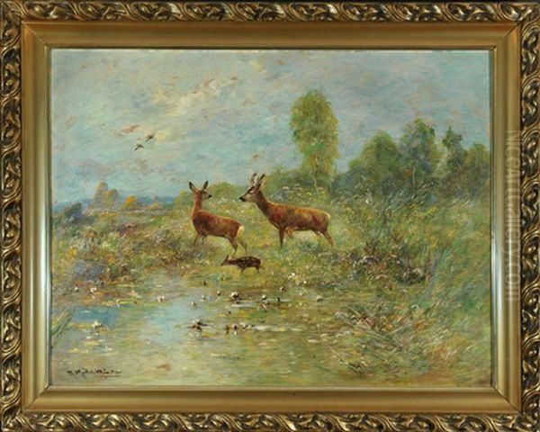 Rehe Mit Kitz Am Teich In Moorlandschaft - view 1