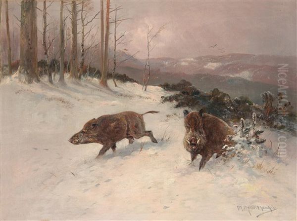 Wildschweine Im Winterwald - view 1