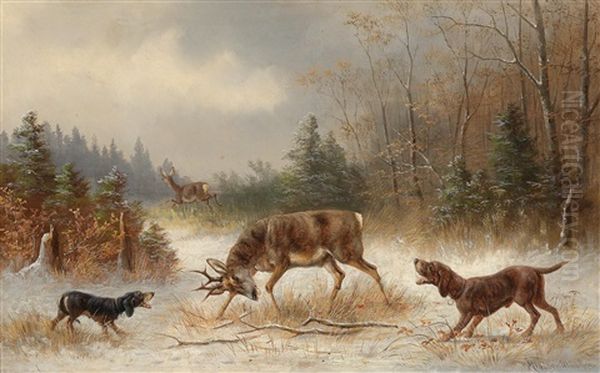 Der Gestellte Hirsch - view 1