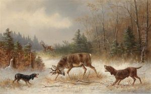 Der Gestellte Hirsch