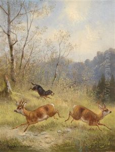 Rehe Auf Der Flucht Rehe Auf Der Flucht