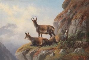 Gamsen Im Hochgebirge by Moritz Mueller the Elder