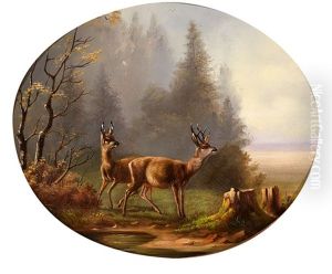 Rehe Auf Einer Lichtung Am Morgen Rehe Auf Einer Lichtung Am Morgen