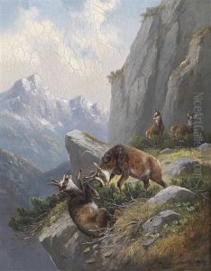 Gemsen Im Hochgebirge