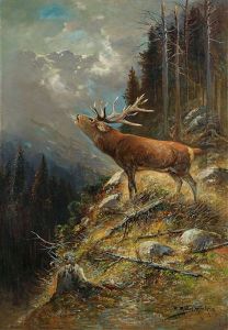 Rohrender Hirsch Im Hochgebirge