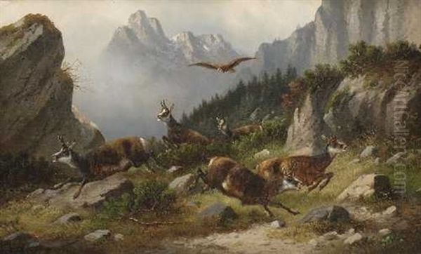 Gamsen Im Hochgebirge - view 1