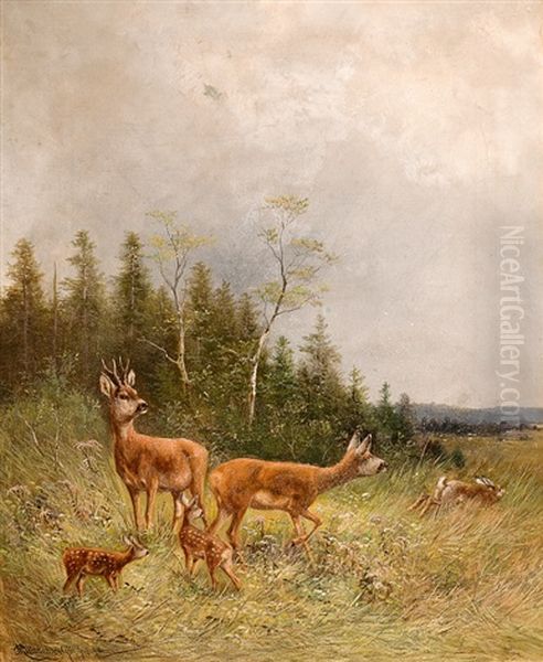 Rehe Am Waldrand - view 1
