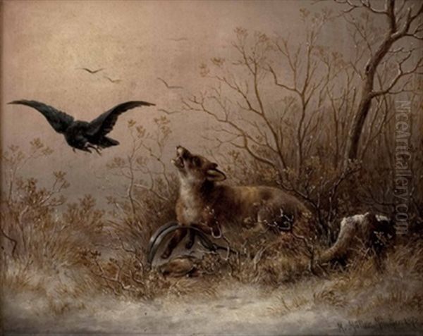 Fuchs Im Eisen, Bedroht Von Raubvogel - view 1