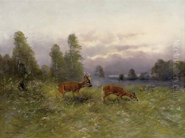 Rotwild Auf Der Lichtung - view 1