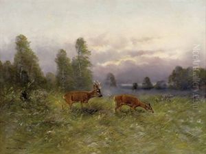 Rotwild Auf Der Lichtung by Moritz Mueller the Elder