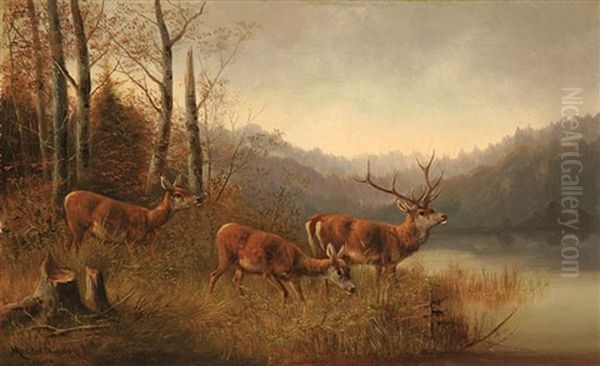 Deer On River Bank - view 1