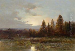 Enten In Aulandschaft Bei Morgendammerung by Moritz Mueller the Elder