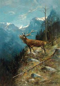 Rohrender Hirsch