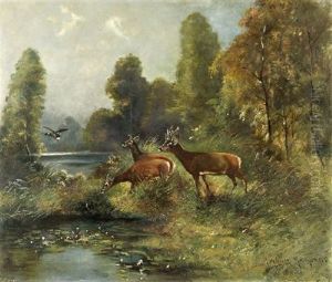 Damwild by Moritz Mueller the Elder
