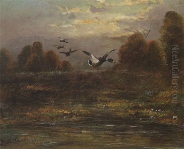 Auffliegende Enten - view 1