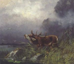 Rohrender Hirsch Am Seeufer by Moritz Mueller the Elder