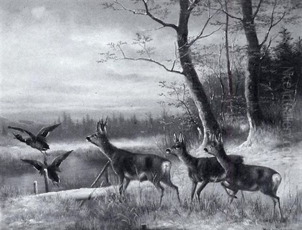 Rehe Und Enten In Winterlandschaft - view 1
