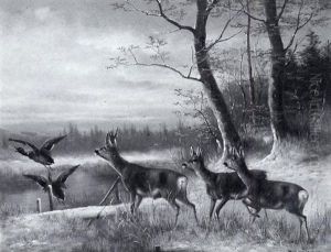 Rehe Und Enten In Winterlandschaft Rehe Und Enten In Winterlandschaft