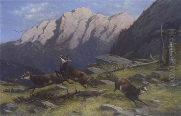 Gamsjagd Im Hochgebirge - view 1