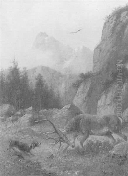 Hirsch, Von Einem Hund Gestellt - view 1