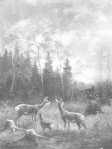Ein Rudel Rehe Wird In Der Morgendammerung Von Einem Herannahenden Zug Uberrascht