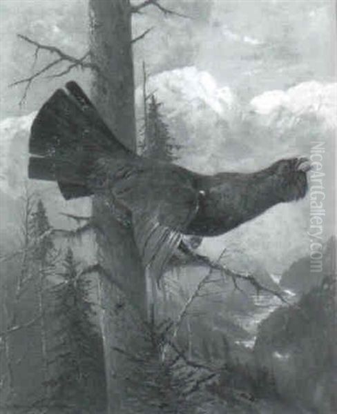Rufender Auerhahn - view 1