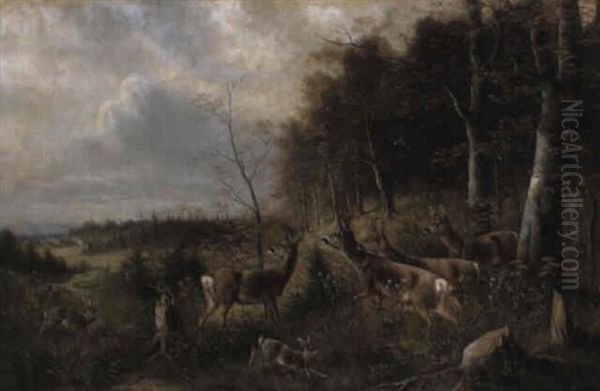 Rehe Beim Herbstmanover - view 1
