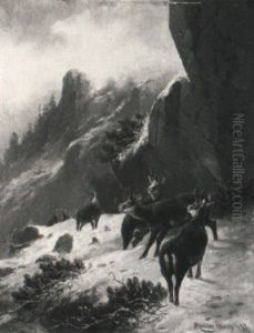 Gamsrudel Im Verschneiten Hochgebirge